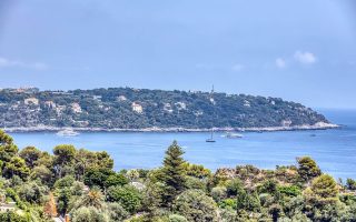 IMG_41