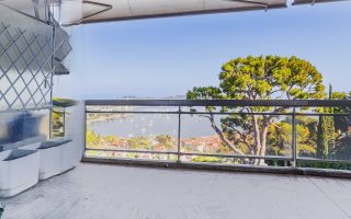 a877a41e-aabe-49c8-9dc3-f3db7f352f83